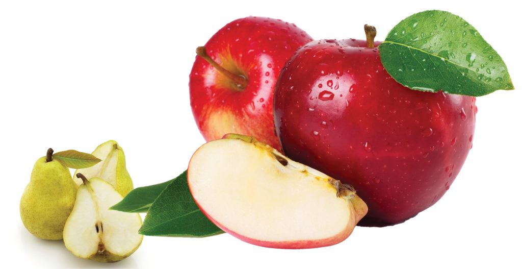 apple and pear apple