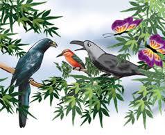 gubbachi-kogile-kage