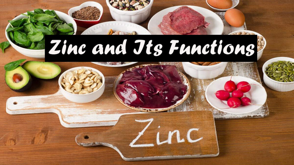 Zinc-and-its-functions