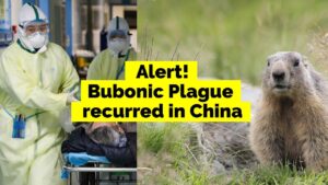 bubonic-plague