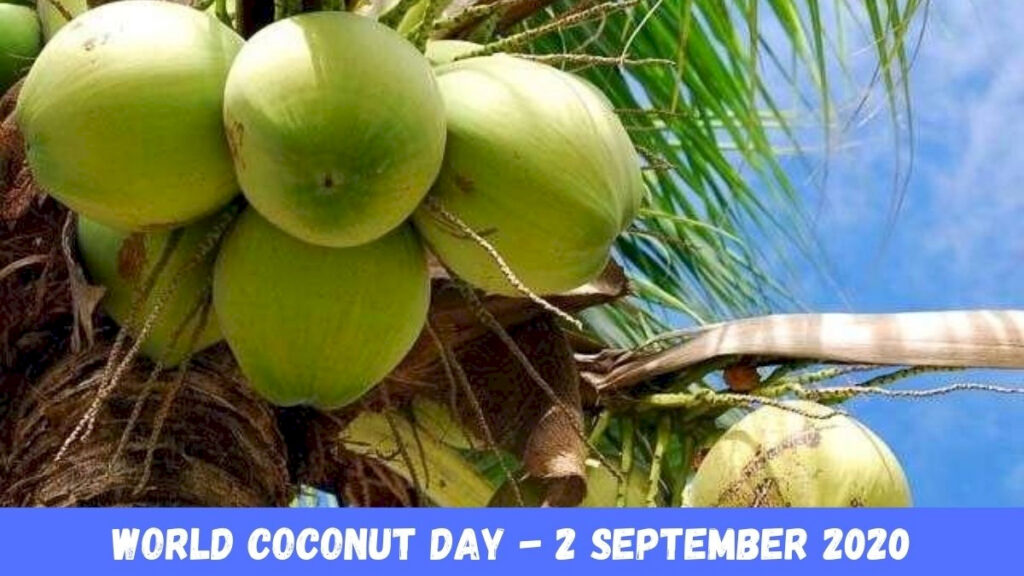 World-coconut-Day