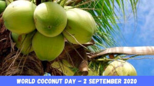 World-coconut-Day ತೆಂಗಿನ ಕಾಯಿಯ ಹಿರಿಮೆ ದೊಡ್ಡದು.