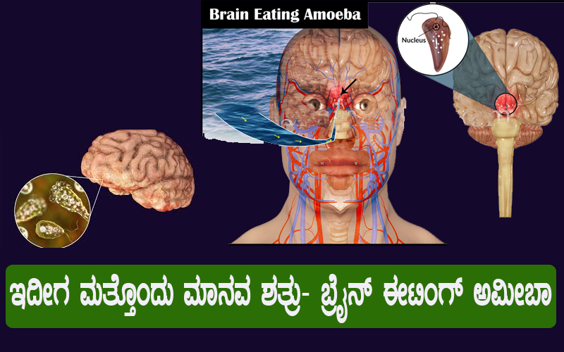 Brain-Eater-Ameoba