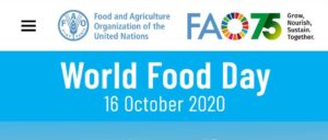 world-food-day ವಿಶ್ವ ಆಹಾರ ದಿನ ಅಕ್ಟೋಬರ್-16 : ನಮ್ಮ ಆಹಾರ ಎಷ್ಟು ಸುರಕ್ಷಿತ ?