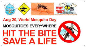 mosquito-day