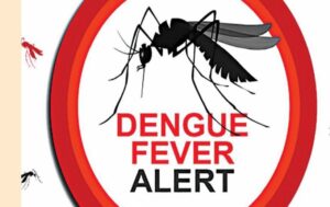 Dengue-fever/ಡೆಂಗ್ಯೂ ಜ್ವರ ಯಾಕೆ ಹೇಗೆ? - ರಾಷ್ಟ್ರೀಯ ಡೆಂಗ್ಯೂ ಜಾಗೃತಿ ದಿನ- ಮೇ 16