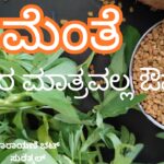 ಮೆಂತೆ -   ಆಹಾರ ಮಾತ್ರವಲ್ಲ ಔಷಧ