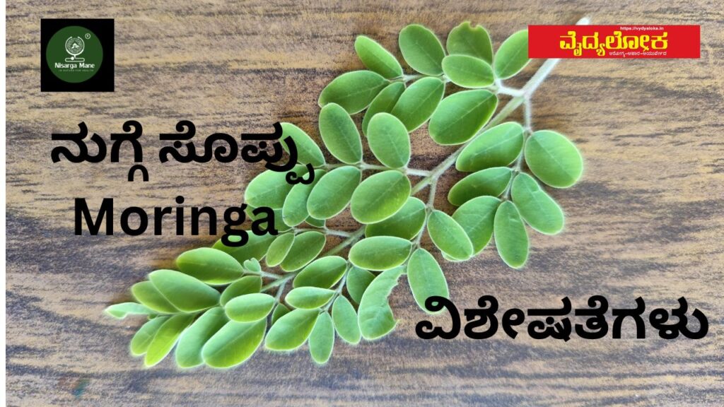 ನುಗ್ಗೆ ಸೊಪ್ಪು – ವಿಶೇಷತೆಗಳು – Moringa benefits #vydyaloka #healthvision