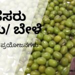 Green Gram Dal - Health Benefits