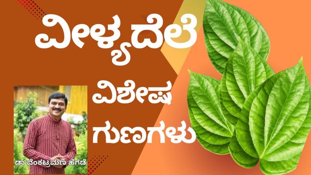 Vīḷyadele viśhēṣa auṣadhīya guṇagaḷu #nisarghamane #vydyaloka #healthvision #drvenkataramanahegde