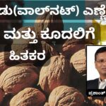 walnut oil #akrodu #woodified #vydyaloka #healthvision