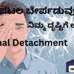 Akshipatala berpaduvike nimma drustige apaya Dr Hareesh K V, #abhisheknethradhama #vydyaloka #healthvision #drhareesh Retinal detachment #retinaldetachment